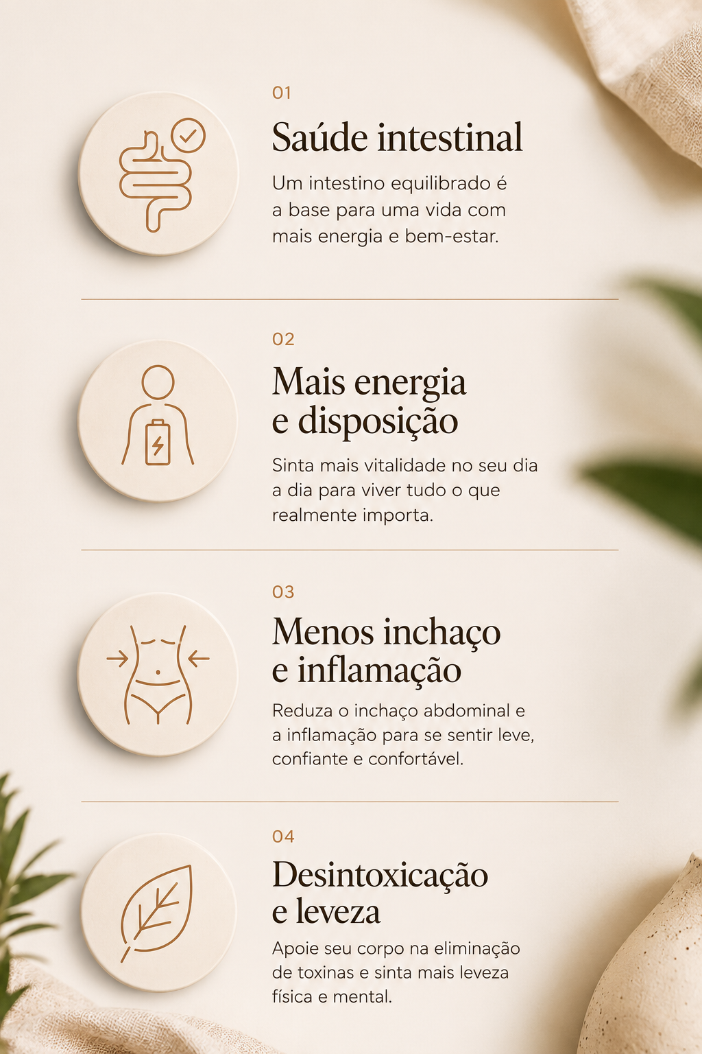 Pilares do Desafio RESET 40+: saúde intestinal, mais energia e disposição, menos inchaço e inflamação, desintoxicação e leveza